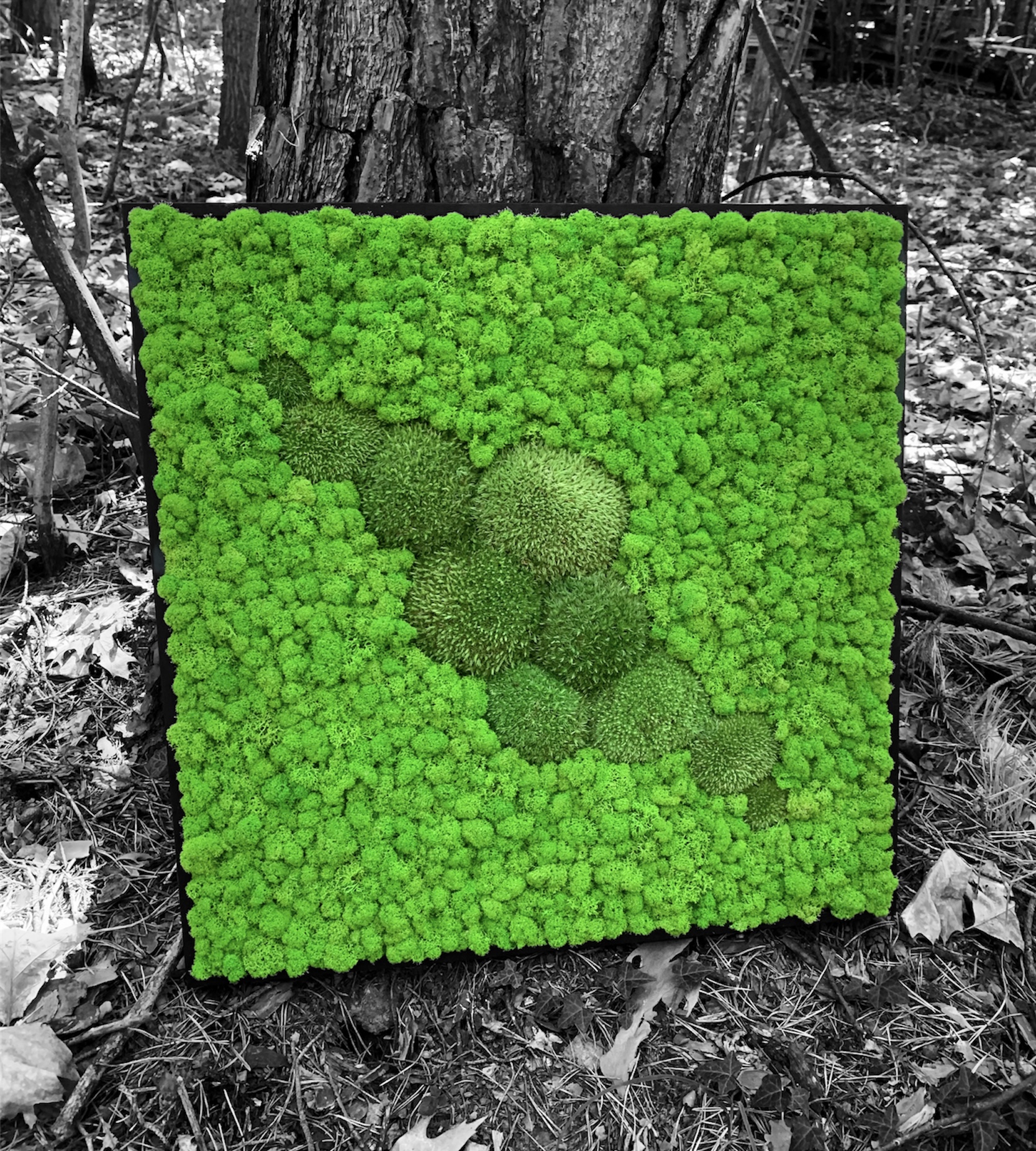 Machový obraz ORIENT