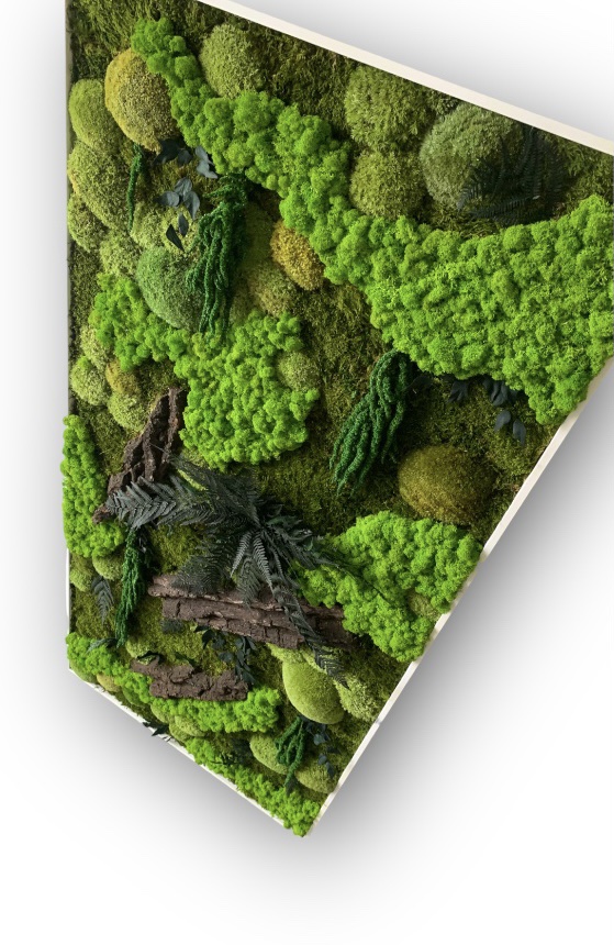 Machový obraz MAGIC 150x70cm