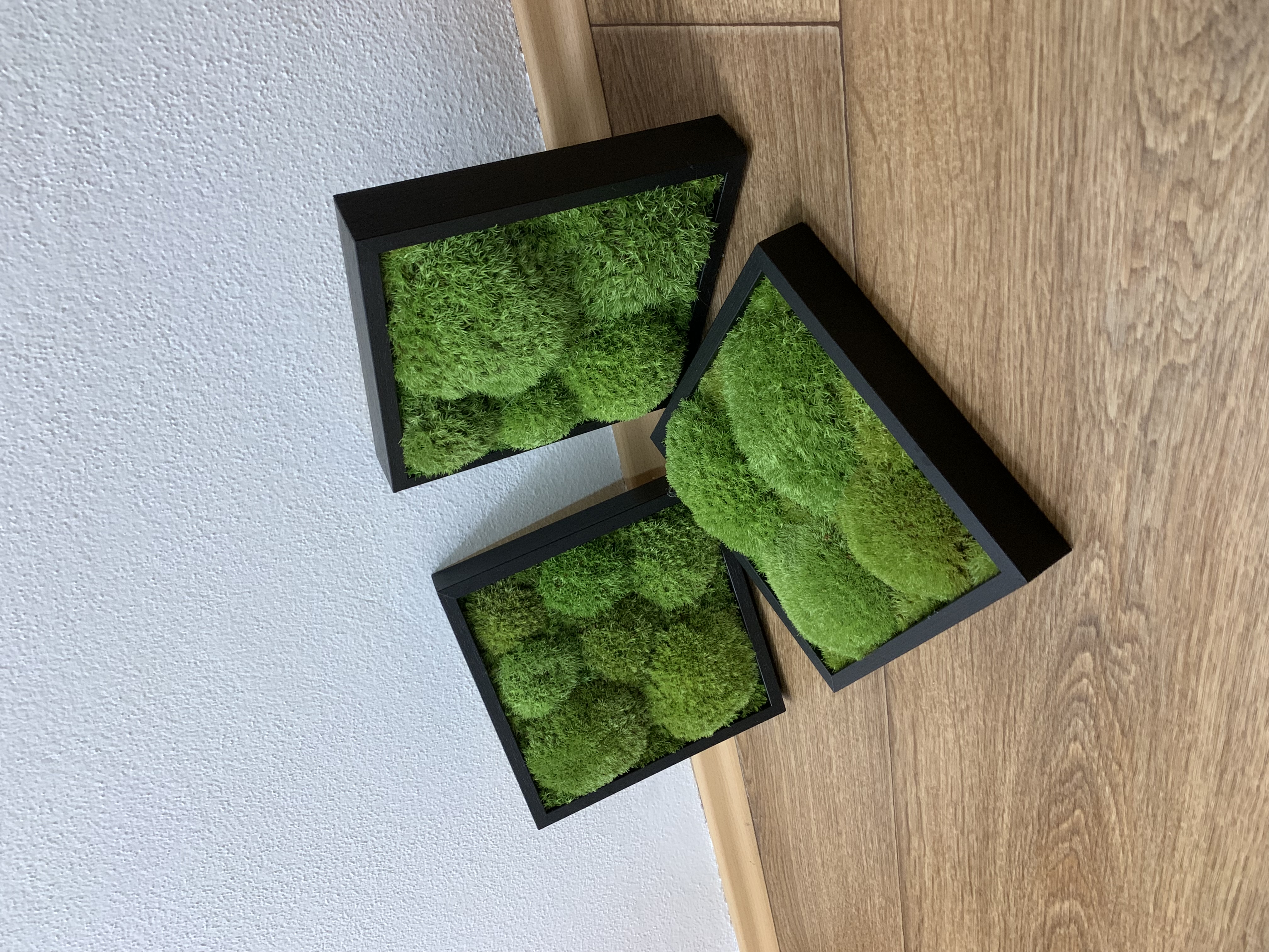 Machové TRIO 3x BOLMOSS