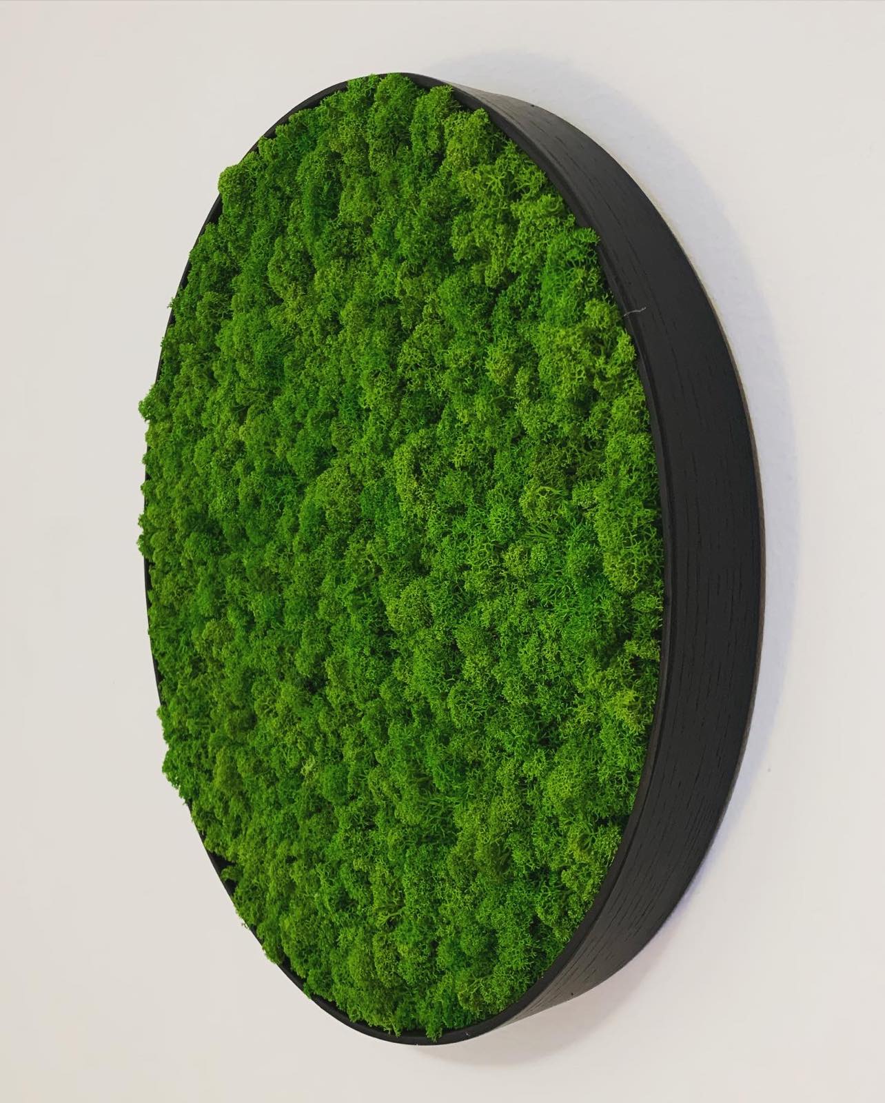 Machový obraz Kruh Lišajník