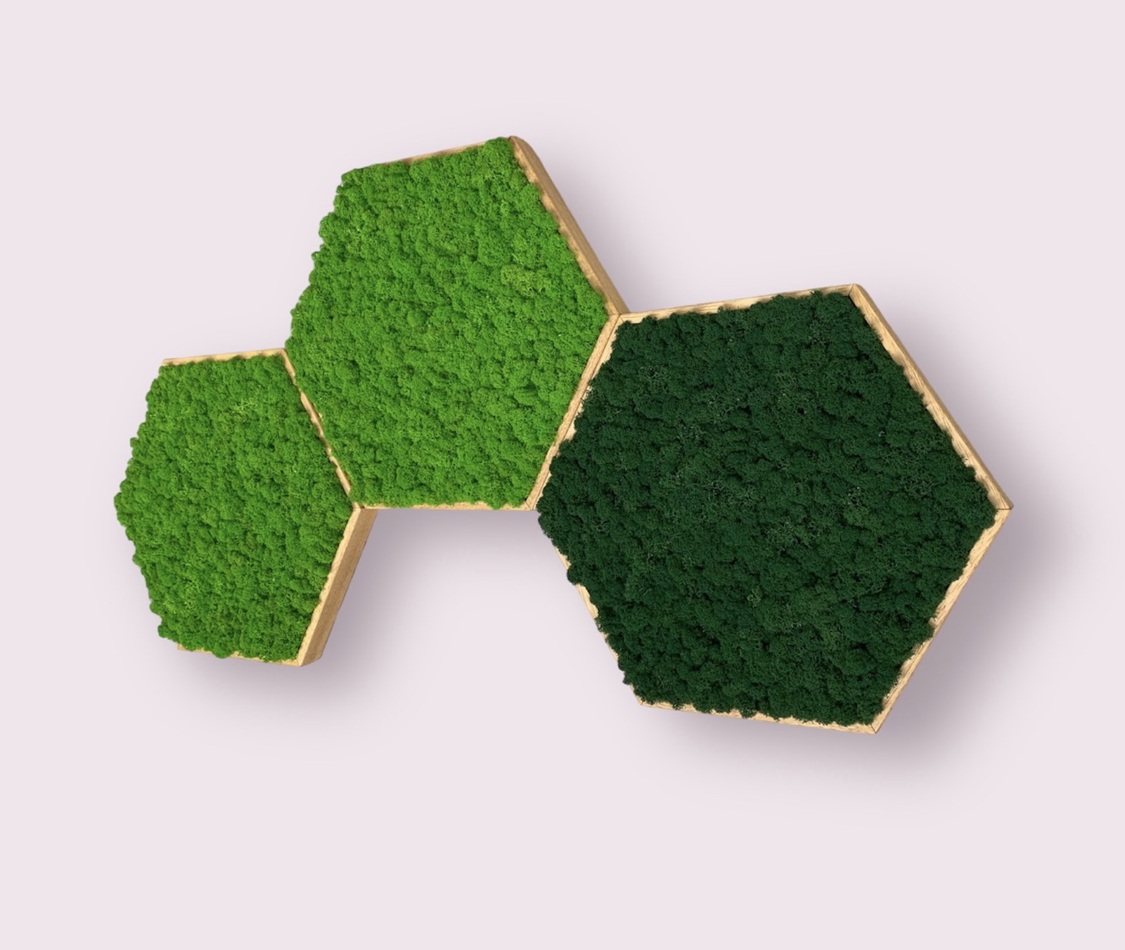 Machový obraz Hexagon Lišajník