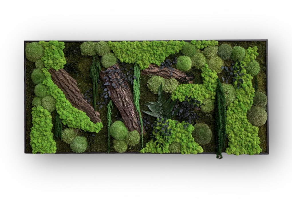 Machový obraz NATUR