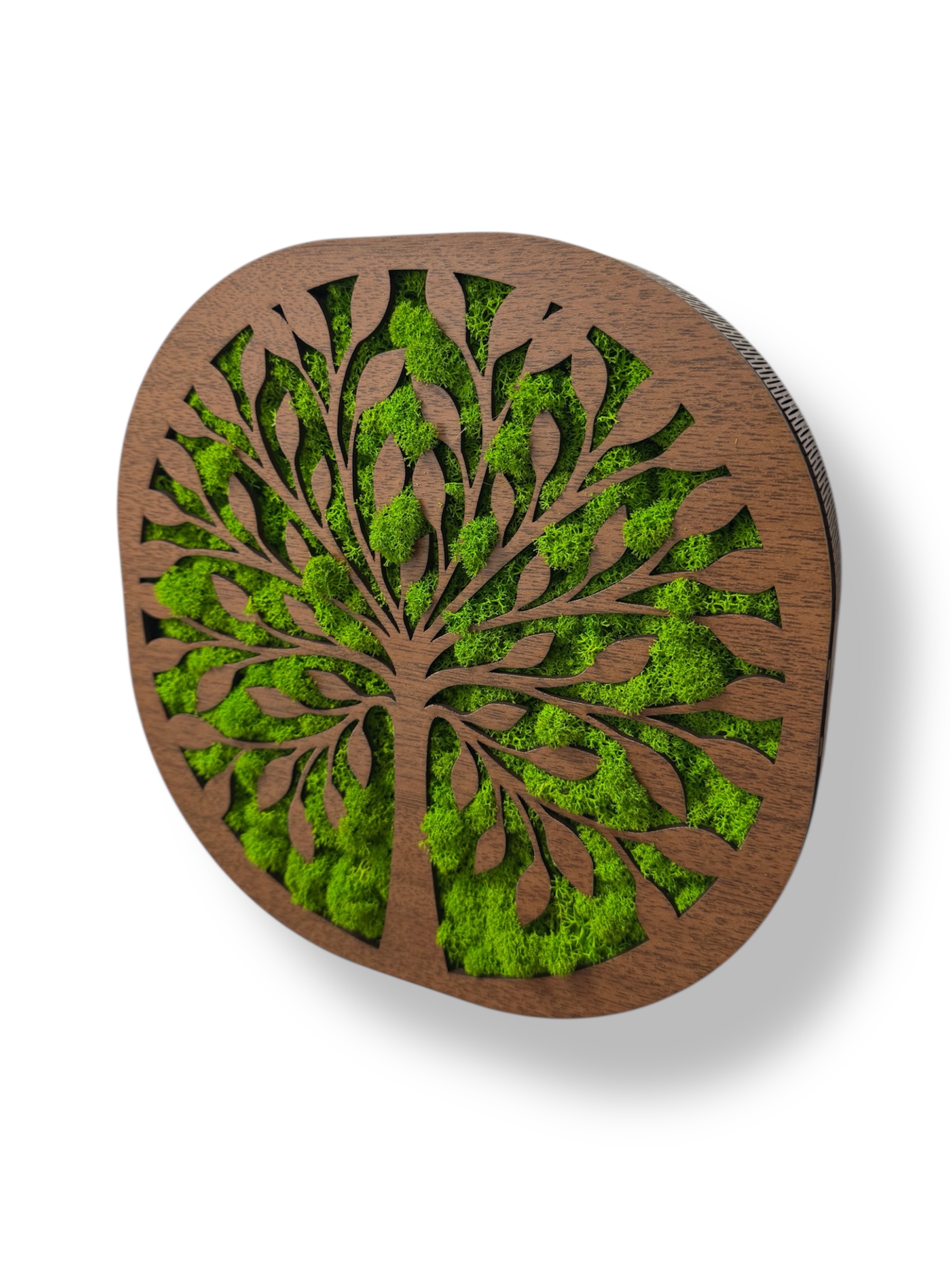 Machový strom života Harmónia 1