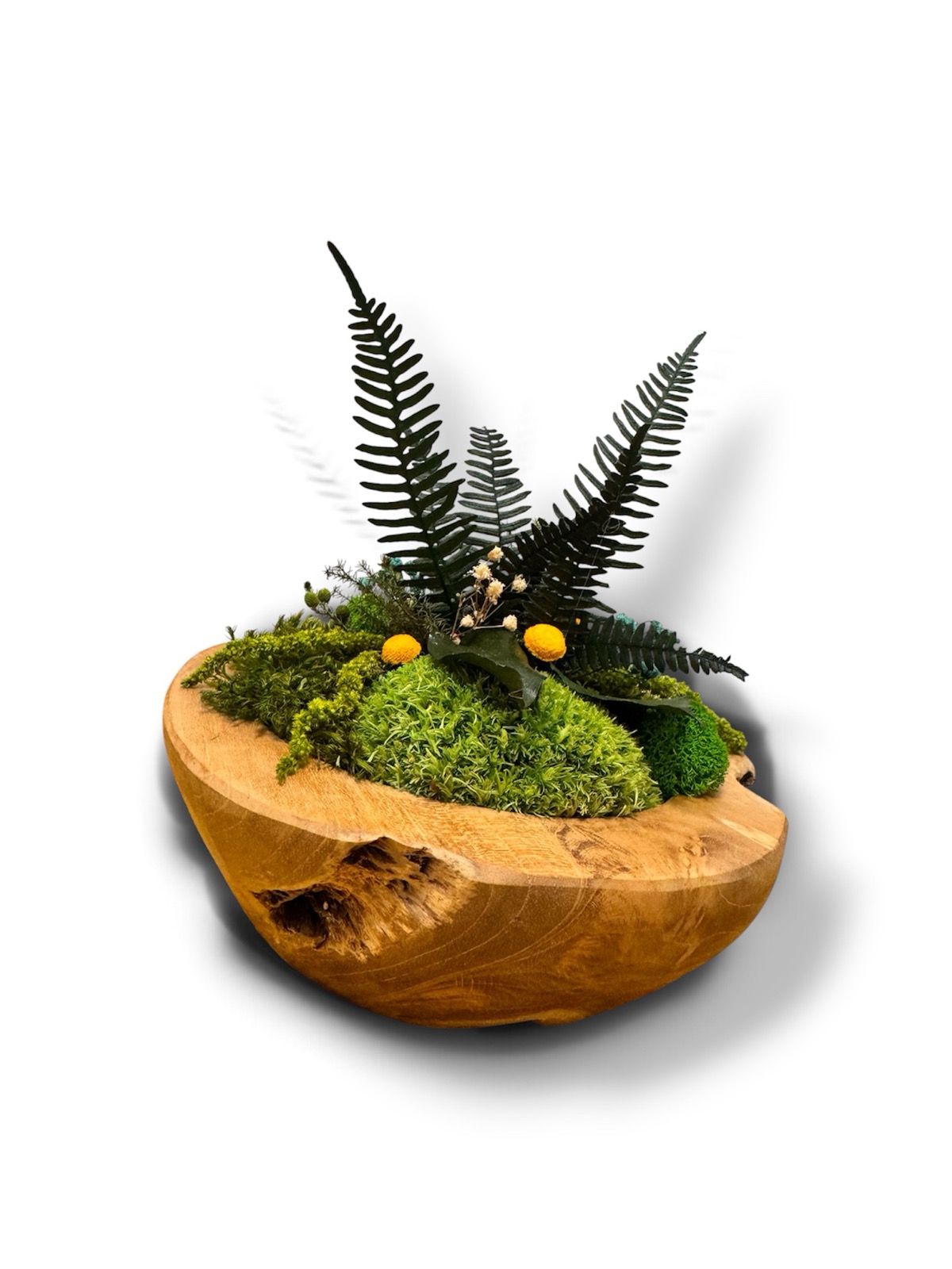 Teaková miska s machom - kruhová