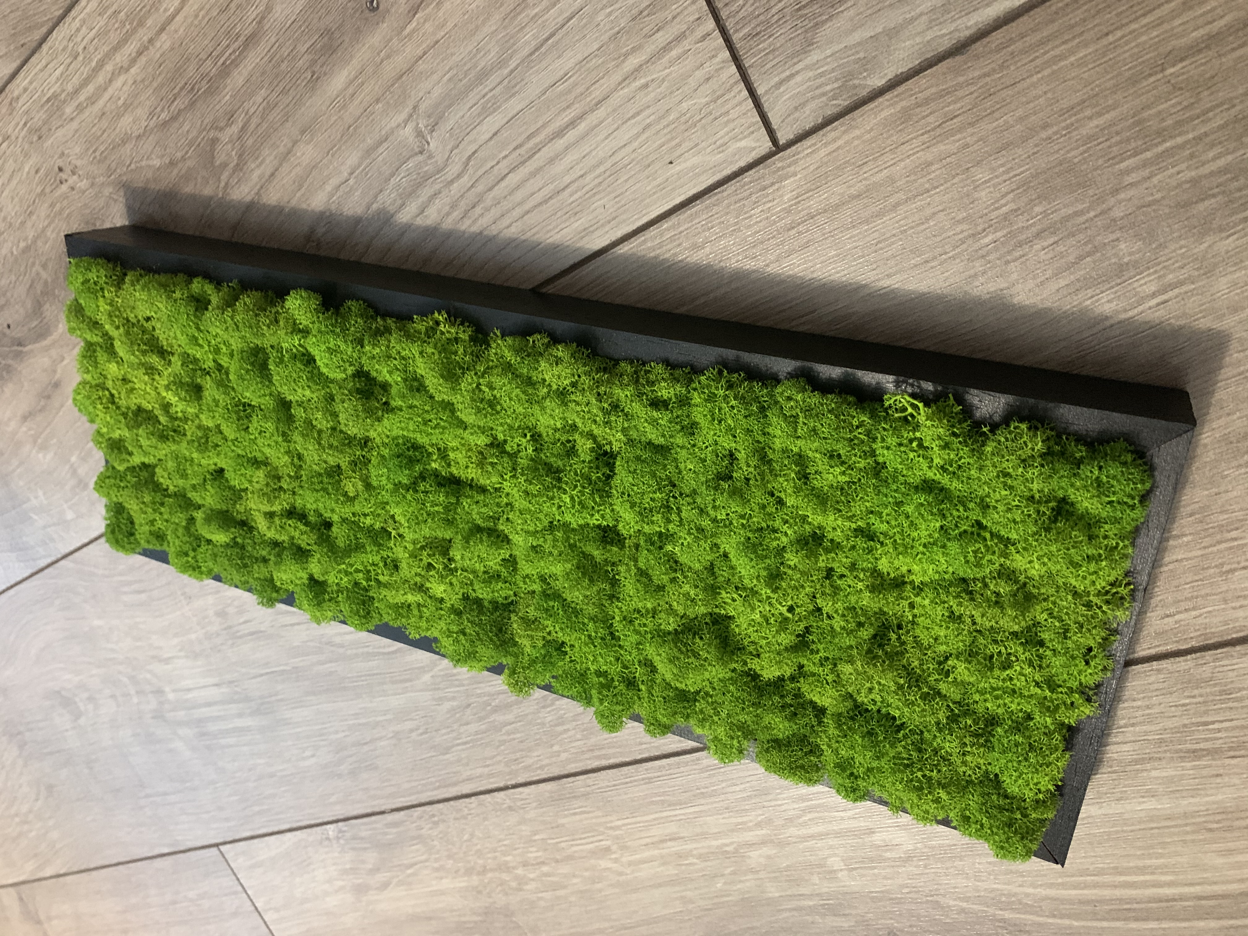 Machový obraz Lišajník