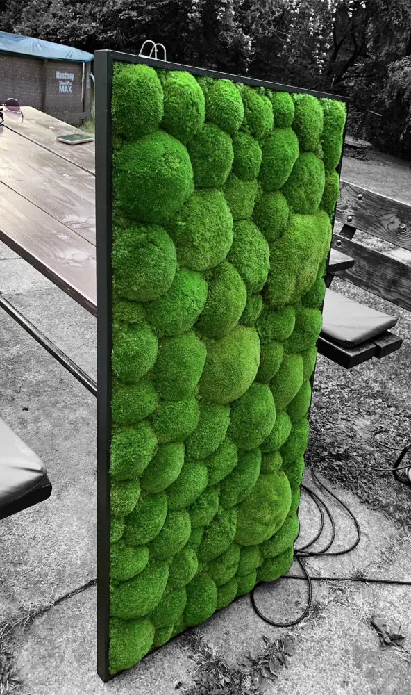 Machový obraz Kopčekový Bolmoss