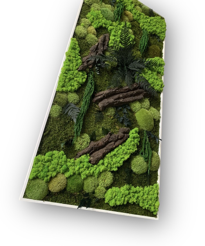 Machový obraz MAGIC 150x70cm