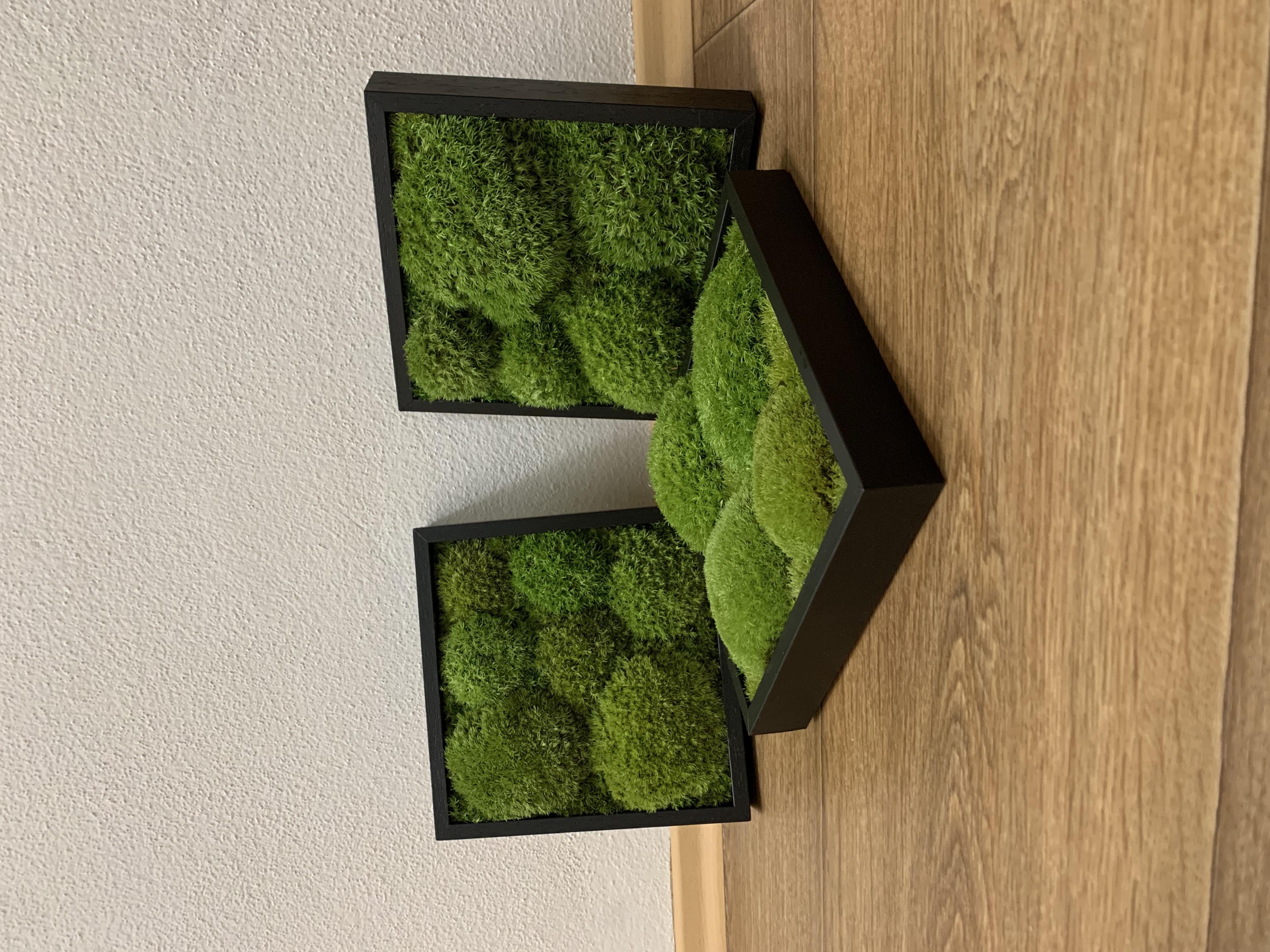 Machové TRIO 3x BOLMOSS