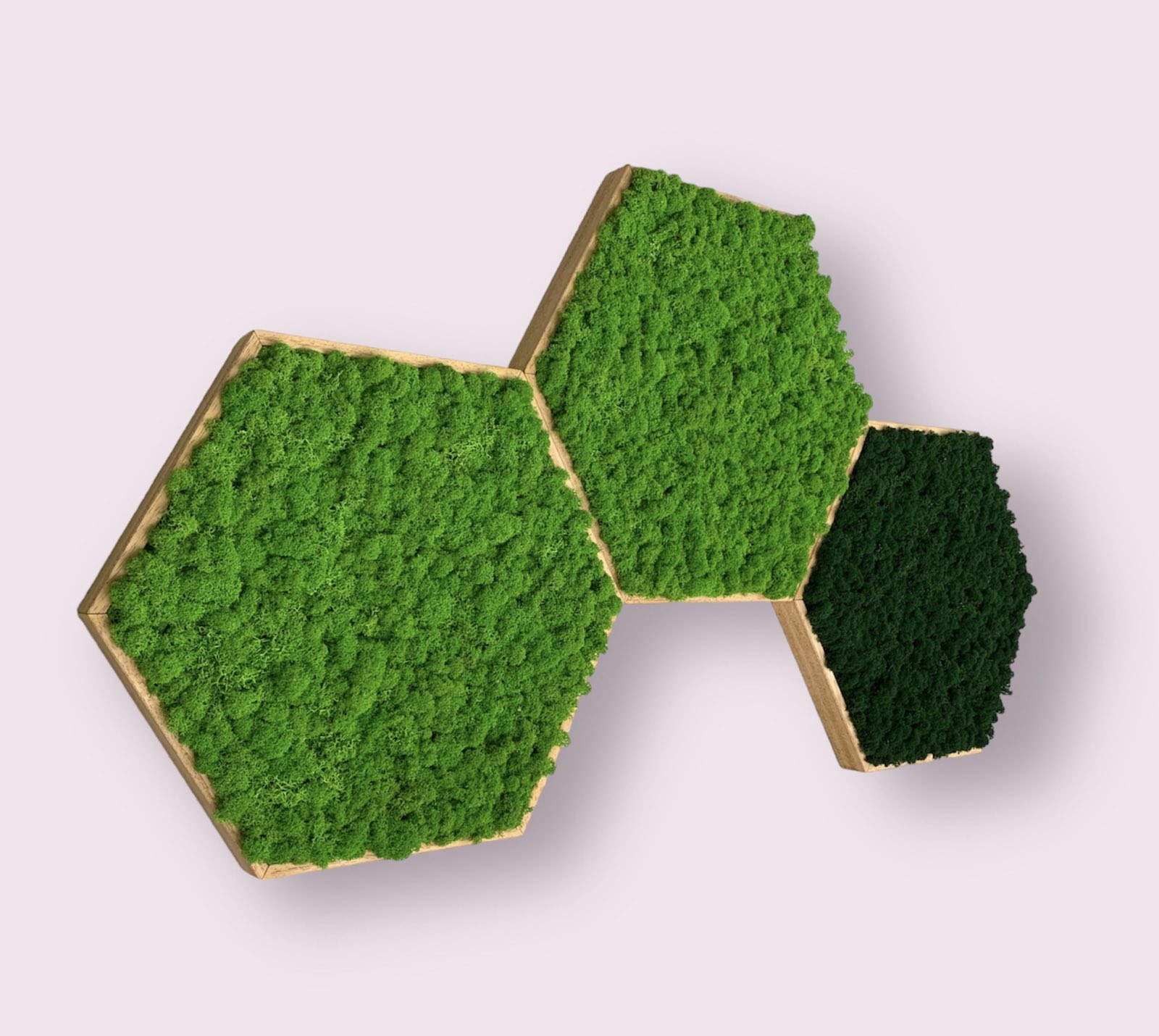 Machový obraz Hexagon Lišajník