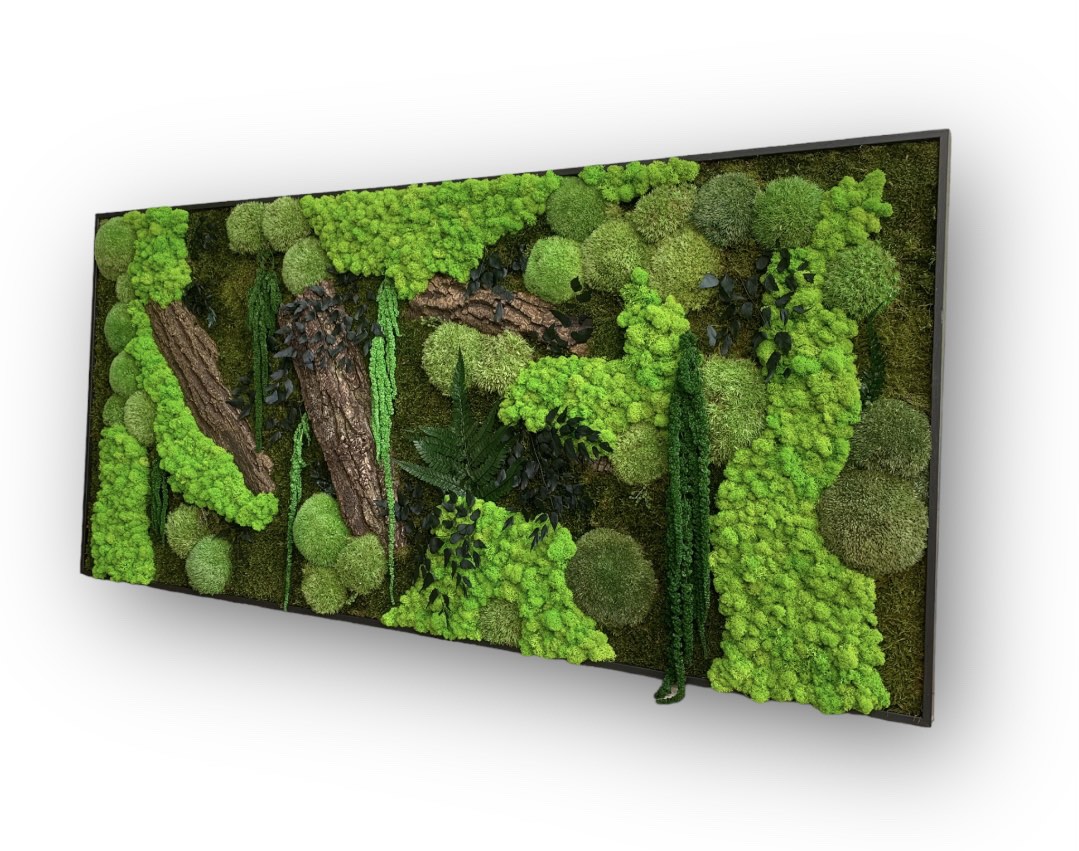 Machový obraz NATUR