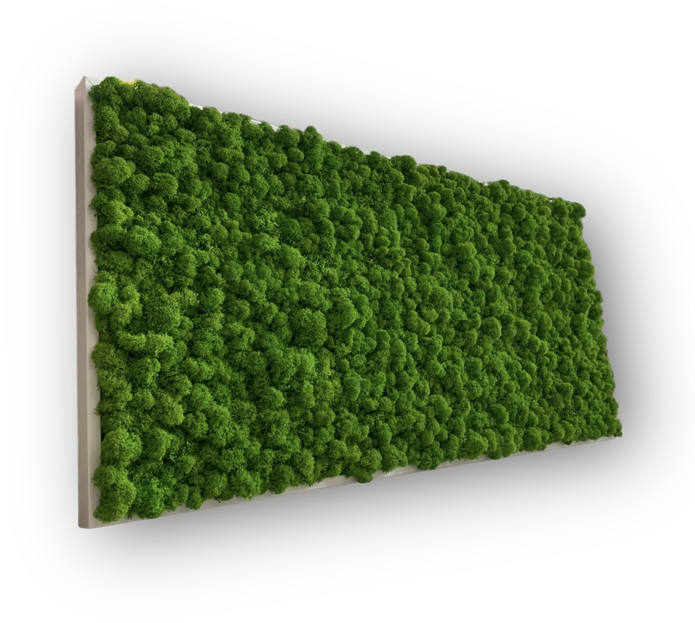 Machový obraz Lišajník