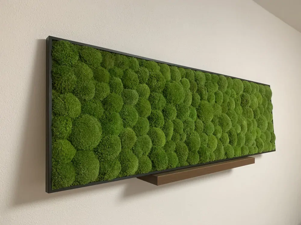 Machový obraz Kopčekový Bolmoss