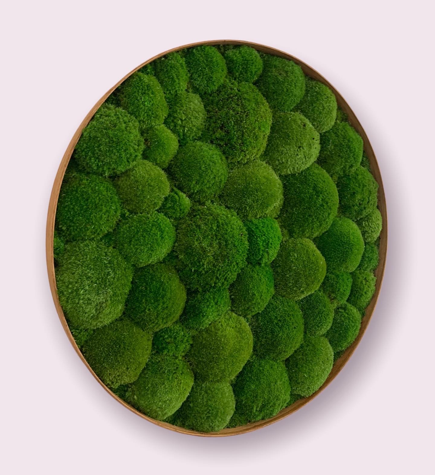 Machový obraz Kruh 2