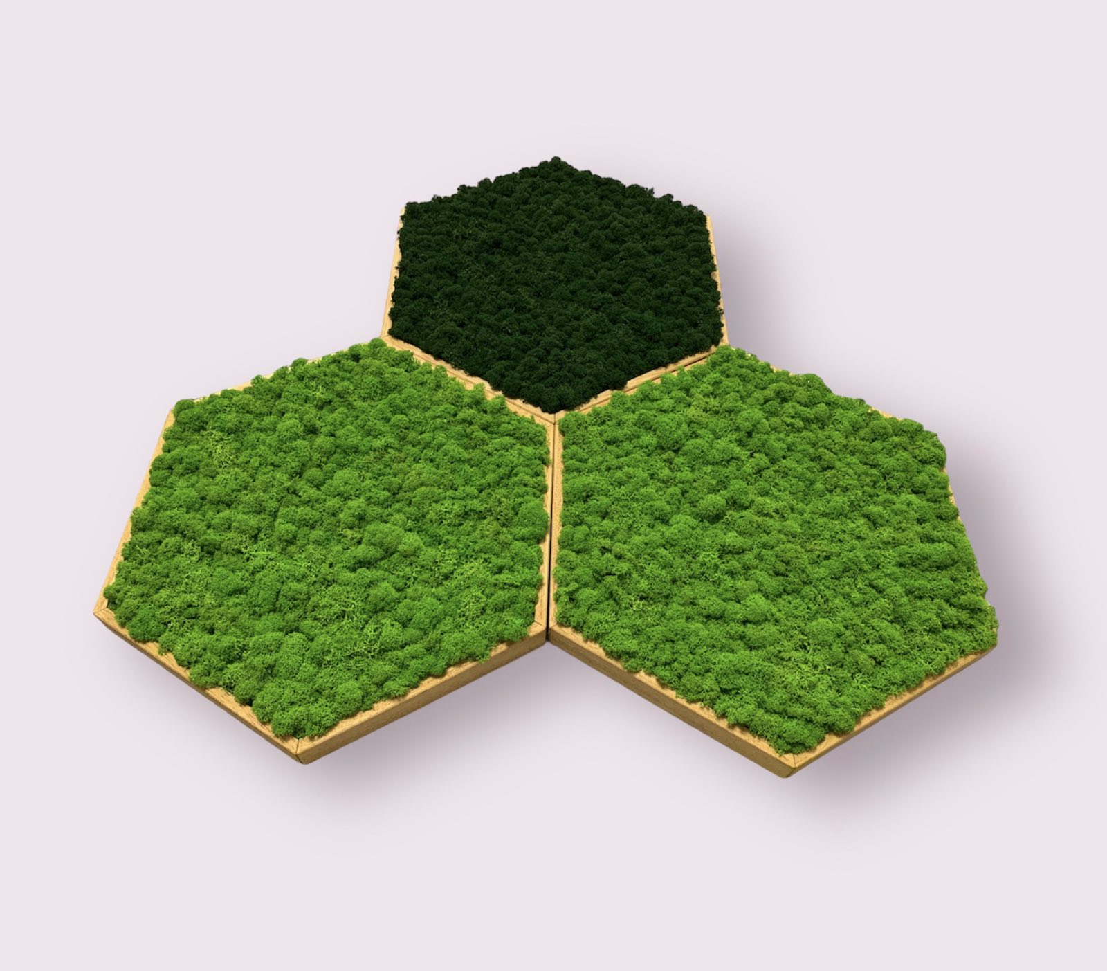 Machový obraz Hexagon Lišajník