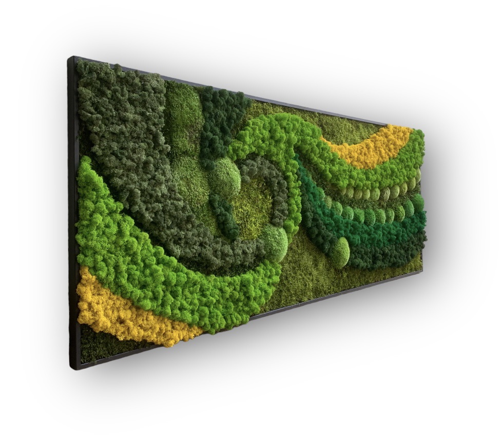 Machový obraz VESMIR