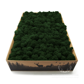 Lišajník mach vyčistený tmavá zelená 2kg FIN